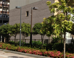 �J���[���b�N�̂������l�V���[�g�J�b�g2